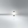 101219_1.jpg C10W 12V SV8.5 festoon short 1 piece OSRAM